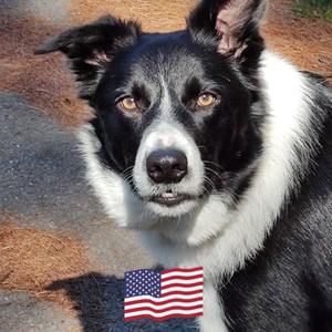 Meet your Posher, Ann